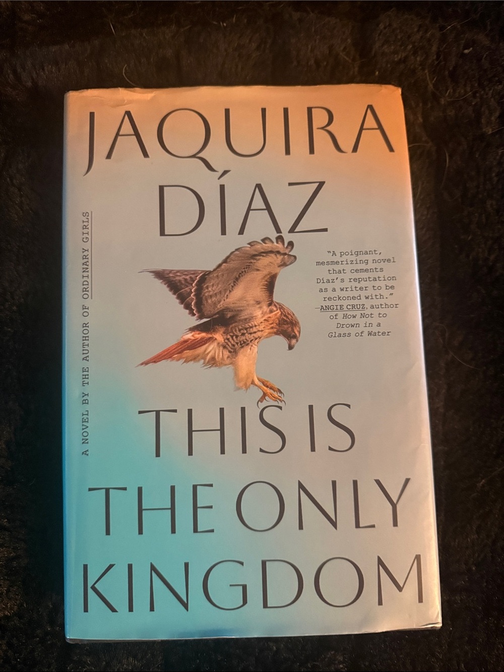 Jaquira Díaz - This Is the Only Kingdom (Bird Cover)